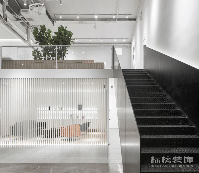 辦公室植物擺放植物有哪些，怎么擺放比較好？